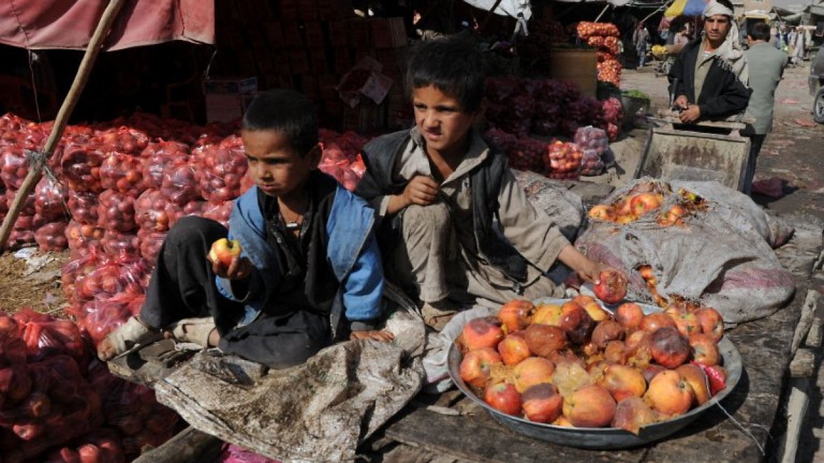 Afghanistans Non-Profit Sector Under Scrutiny Over Alleged Corruption and Mismanagement