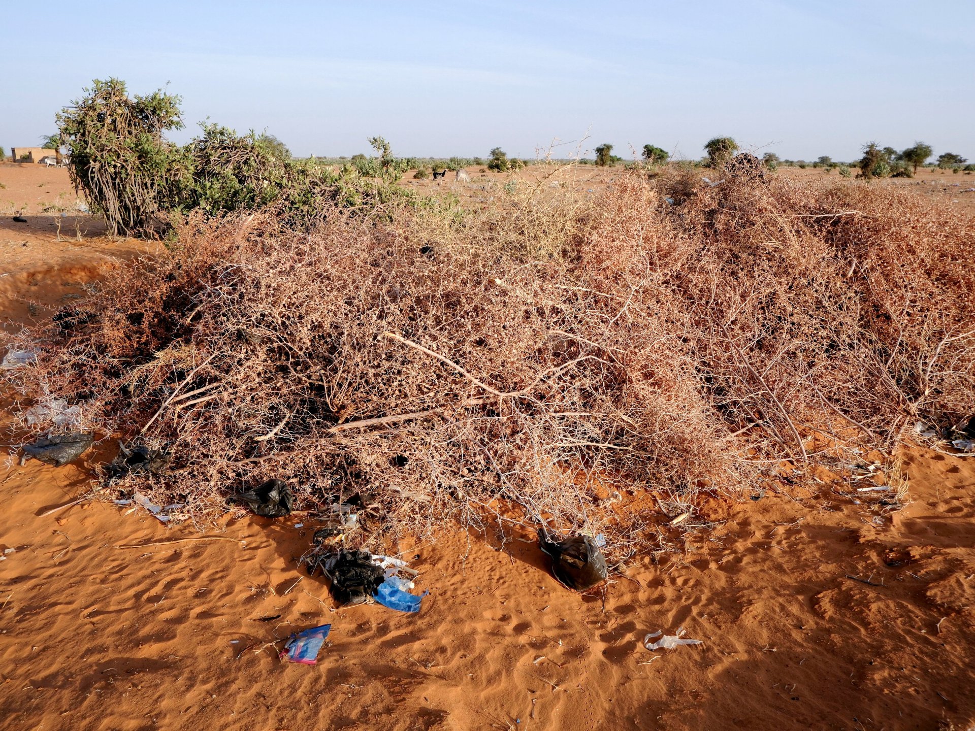 Drone Strike Kills 11 in Central Sudan Market