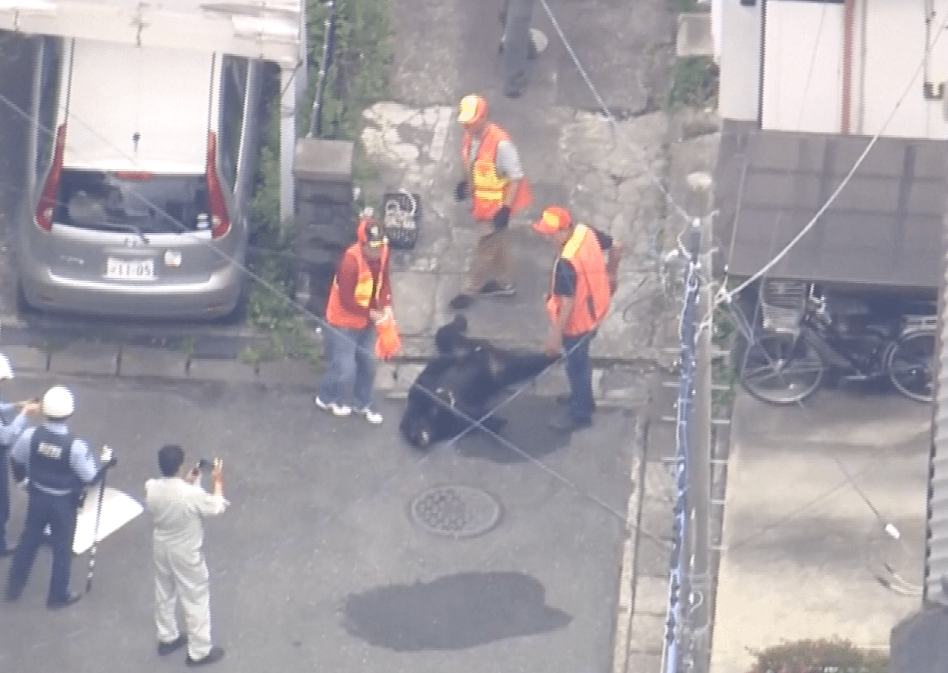 Japan Sees Relief After Bear Captured Amid School Closures and Panic