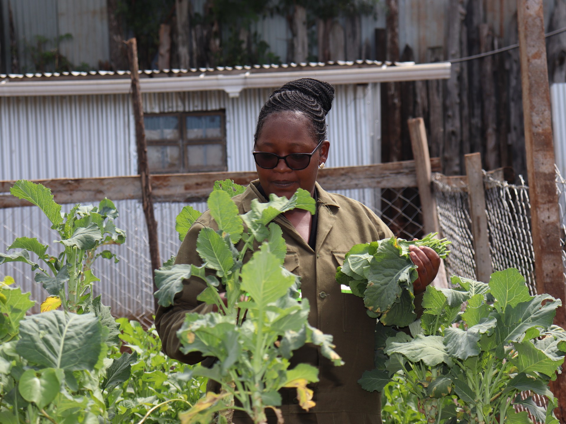 Kenyan Graduates Turn to AI Tools for Farming Amid Job Drought