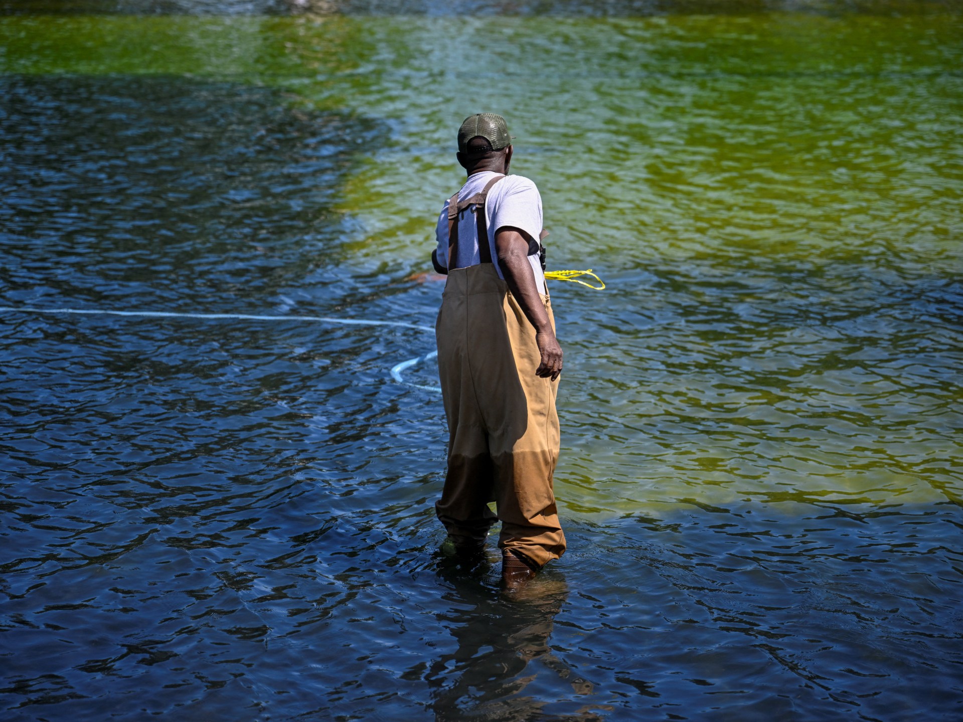 Washingtons Reflecting Pool Turns Algae Green After Change in Water Chemistry